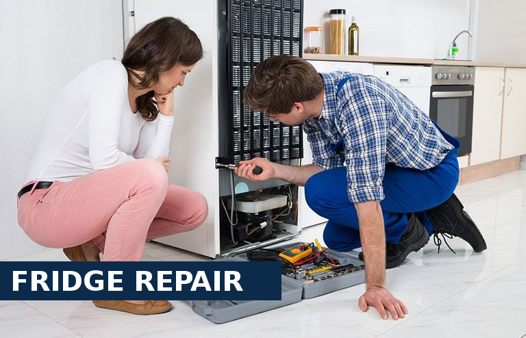 Fridge Repair Bayswater